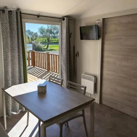 Mobil Accessible, Terrasse - 6 Pers. - Api-1-52-2153 *